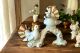 TAUBEN Exklusives Ornament aus Keramik im Barockstil mit Details aus 24 Karat Gold Made in Italy