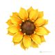 SONNENBLUME – Hängende Blume aus Capodimonte-Porzellan, handgefertigt, hochwertig